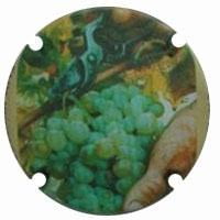 CLOS VINIFERA X. 81027