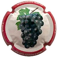 CLOS VINIFERA X. 126077