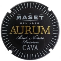 MASET DEL LLEO X. 138837