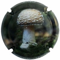 BERRAL I MIRO X. 129082