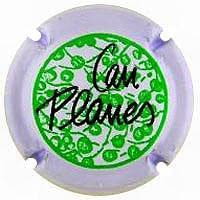 CAN PLANES D'EN PERULL X. 106961
