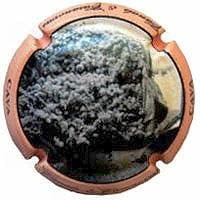 CANALS & CASANOVAS V. 28775 X. 98075