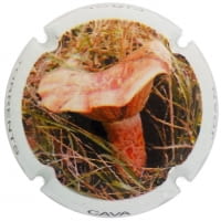 JOAN PIÑOL TORRENTS X. 142095