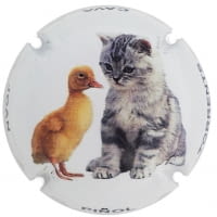 JOAN PIÑOL TORRENTS X. 109062