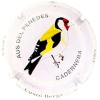 CUSCO BERGA X. 116813 (CADERNERA)