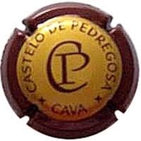 CASTELO DE PEDREGOSA V. 5681 X. 09756