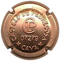 CASTELO DE PEDREGOSA X. 98234