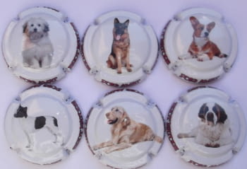 PUIG AMAT JUEGO 6 PLACAS X. 144280 A 144285 (PERROS)