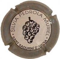 SILVIA PEDROLA MURIEL V. 3414 X. 09765