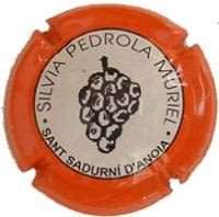 SILVIA PEDROLA MURIEL V. 3415 X. 09766