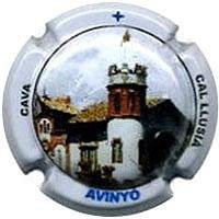 CAL LLUSIA V. 25799 X. 64596 (AVINYO)