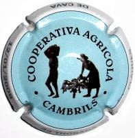 PIRULA TROBADES 2008 X. 34501