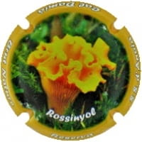 CAL DAMIA X. 115498 (ROSSINYOL)