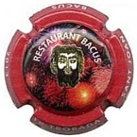 PIRULA TROBADES 2013 X. 100331