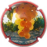 MARIA OLIVER PORTI X. 118045