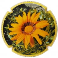 JOAN PIÑOL TORRENTS X. 148364