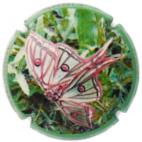 JOAN PIÑOL TORRENTS X. 148365