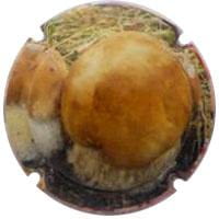 CAL LLUSIA V. 32516 X. 118763