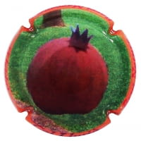 CAL LLUSIA X. 110868