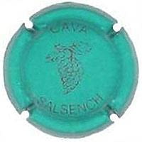 SALSENCH V. 26366 X. 100753