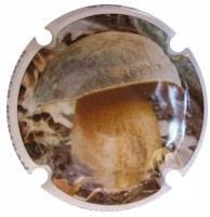 ROGER BERTRAND V. 22215 X. 80805 (SIURENY)