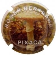 ROGER BERTRAND V. 24779 X. 84295 (PIXACA)