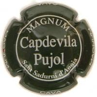 CAPDEVILA PUJOL V. 2920 MAGNUM X. 03749 VERD FOSC