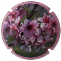 JOAN PIÑOL TORRENTS X. 137062