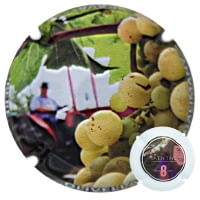 PERE OLIVELLA GALIMANY X. 142391