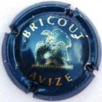BRICOUT X. 08240 (FRA)
