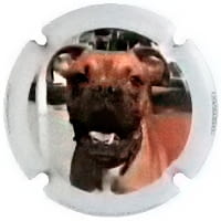 XIC D'ALFONS X. 148716