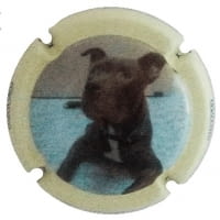 XIC D'ALFONS X. 147493