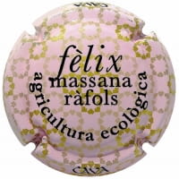 FELIX MASSANA RAFOLS X. 146065 (ROSAT)
