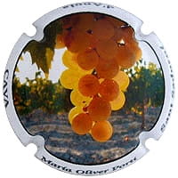 MARIA OLIVER PORTI X. 92826