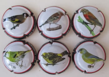 BASTONERS JUEGO 6 PLACAS X. 129964 A 129970 (PAJAROS)
