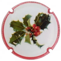 JOAN PIÑOL TORRENTS X. 154735