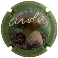 AROLA X. 129248