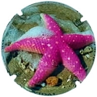 FUCHS DE VIDAL X. 152080 (ROSAT)