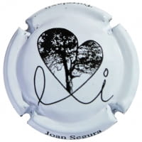 JOAN SEGURA PUJADAS X. 152445