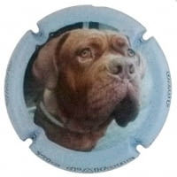 XIC D'ALFONS X. 153757