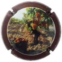 CUSCO BERGA X. 146712