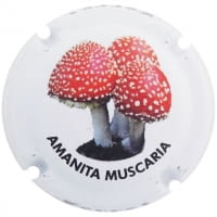 FERRET X. 153484 (AMANITA MUSCARIA)