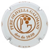 PERE OLIVELLA GALIMANY X. 119485