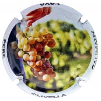 PERE OLIVELLA GALIMANY X. 150856