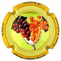 MARIA OLIVER PORTI X. 105088