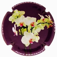 JUST PRESENTS X. 145105