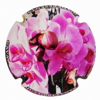 JUST PRESENTS X. 147848