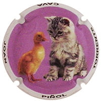 JOAN PIÑOL TORRENTS X. 139680