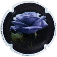 JOAN PIÑOL TORRENTS X. 142498