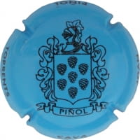 JOAN PIÑOL TORRENTS X. 146135